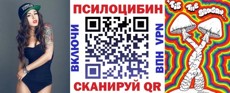 Галлюциногенные грибы Psilocybine cubensis  где продают   Нязепетровск 